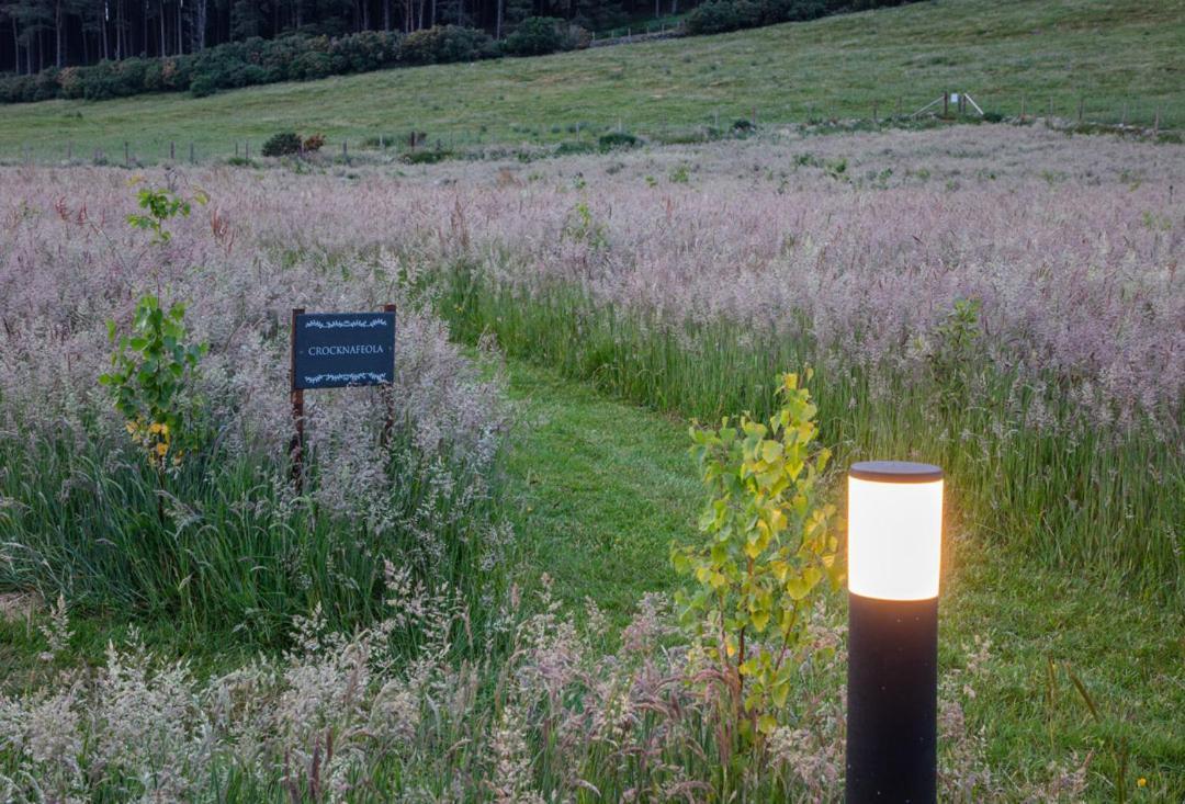 Oakwood Glamping Mourne Mountains Hotel Moyad Exterior foto